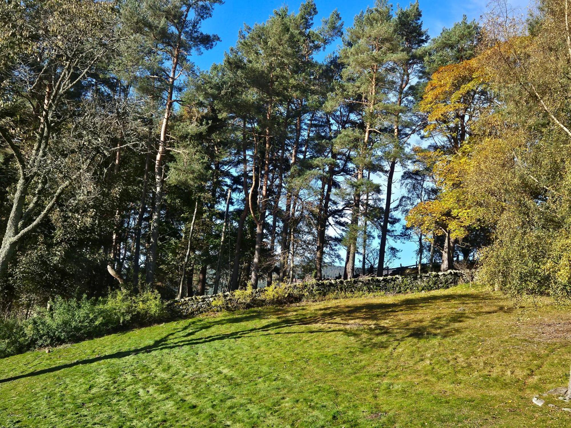 Craggan Bed & Breakfast Ballater Bagian luar foto