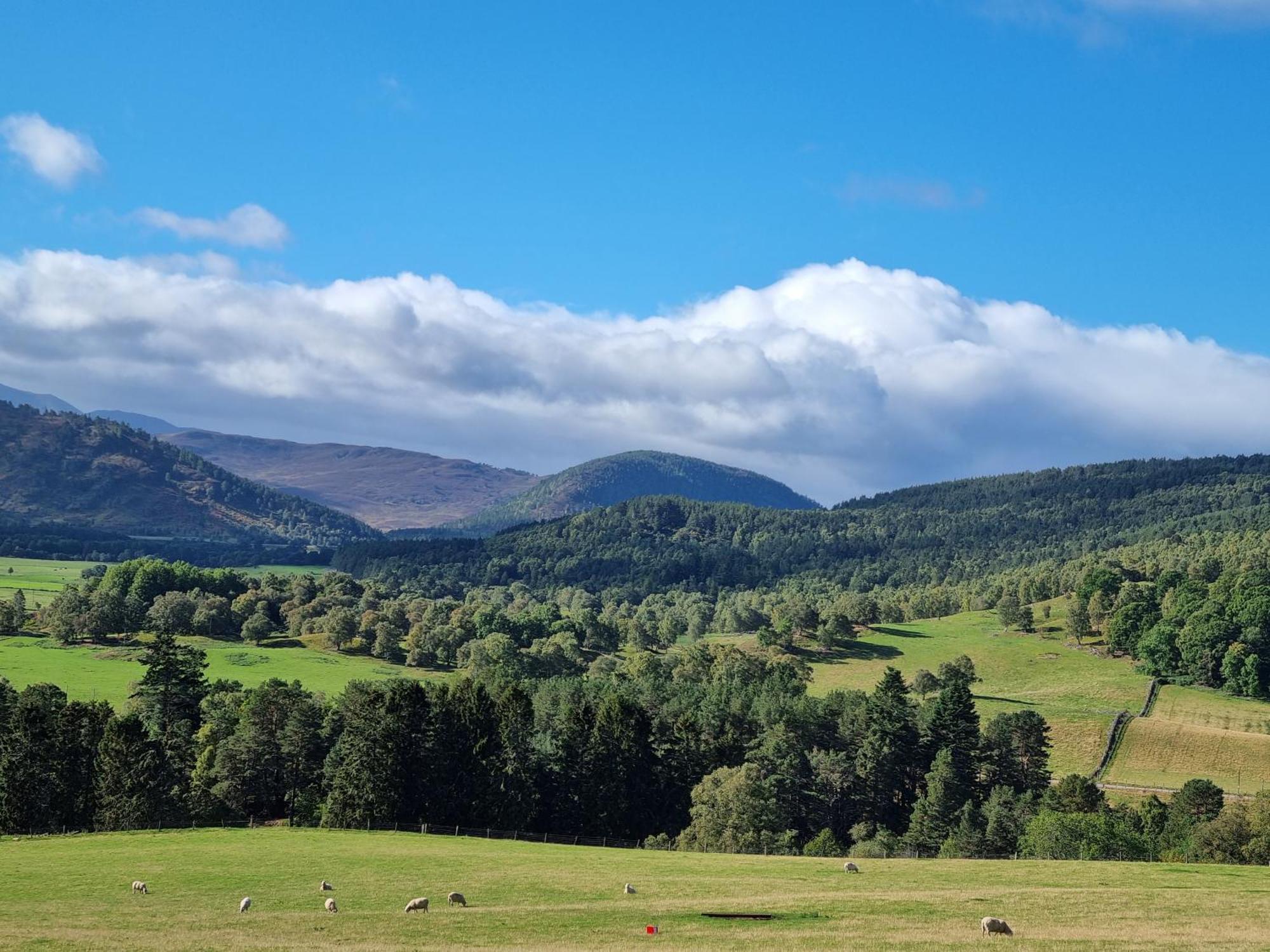 Craggan Bed & Breakfast Ballater Bagian luar foto